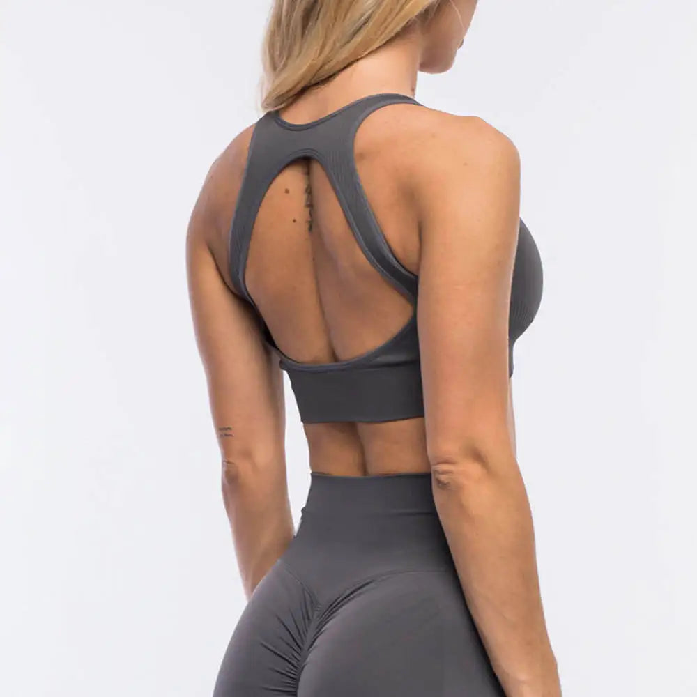 Gym High Waisted Women Seamless Activewear Workout 2 Piece Yoga Sets for Women High Quality Plus Size